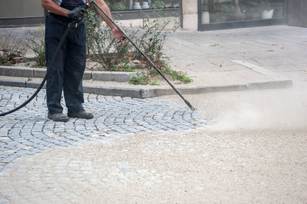 Best Roof Cleaning and Mildew Removal in Lansdowne, VA